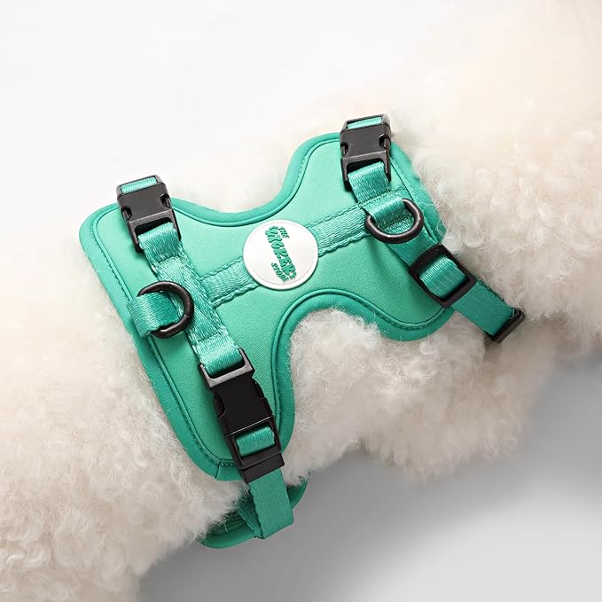 HNS1000K Arlo Extra Small Adjustable Soft Padded No Pull Pet Harness with 3 Buckles and 3 Leash Clips, Julep