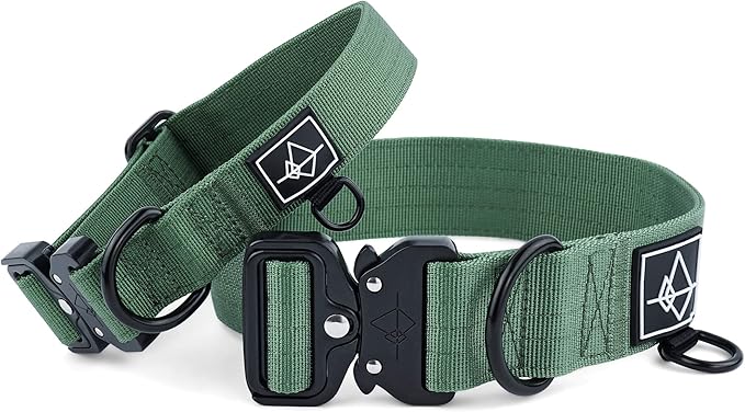 Made to ROAM Premium Dog Collar - Adjustable Heavy Duty Nylon Collar with Quick-Release Metal Buckle (Oregon Haze, Classic Size 2)