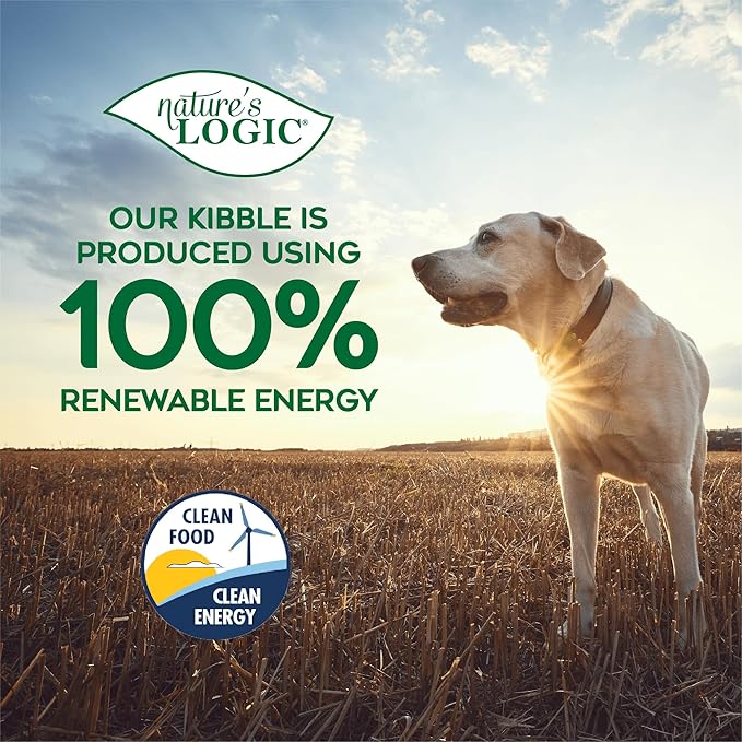 NATURE'S LOGIC Pure Naturals™ 100% Natural Beef Recipe Synthetic-Free Dry Dog Food, 24 lbs