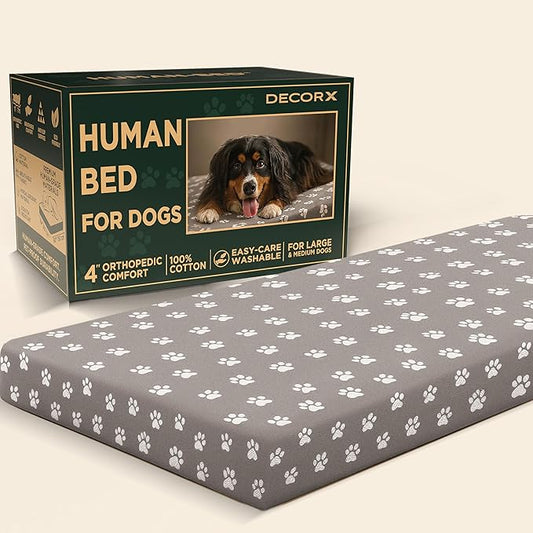 Human Dog Bed, 60x30 Inch, for Adults — Orthopedic Mattress, Protective Liner, 100% Cotton Fitted Sheet — Breathable, Hypoallergenic, Easy to Clean — Gray
