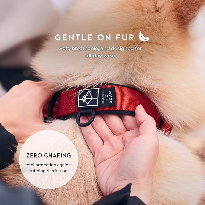 MADE TO ROAM Comfort Collar - Adjustable Nylon Dog Collar with Soft Comfortable Padding, Light Aviation Aluminum Metal Buckle for Small, Medium and Large Dogs (Vermont Weekend, Size 4)