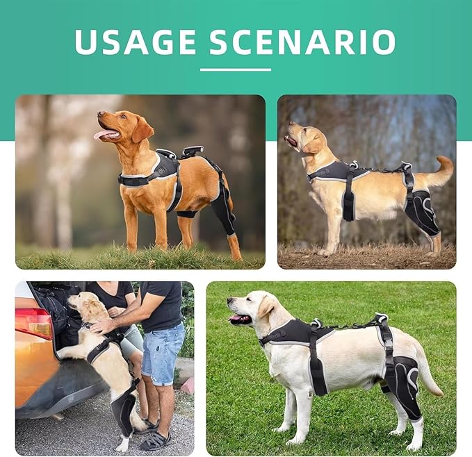 Dog Knee Brace for ACL/CCL Injuries,Torn Ligament,Pain Relief,Joint Warmth,Luxating Patella - Rear Leg Support,Black,Upgraded,Left Legs,(Size:XL)