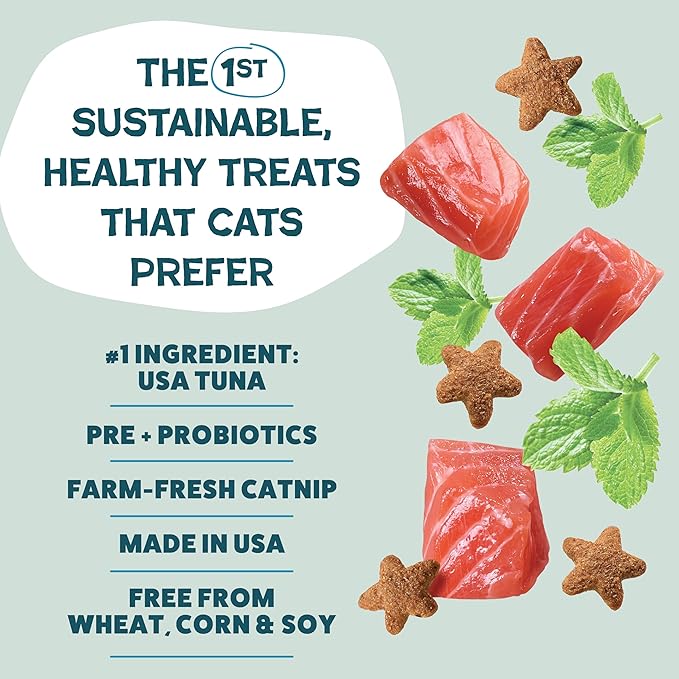 Shameless Pets Crunchy Cat Treats - Catnip Treats for Cats with Digestive Support, Kitten Treats with Real Ingredients, Natural & Healthy Flavored Feline Snacks - Fintastic Catnip, 1-Pk (Pack of 2)