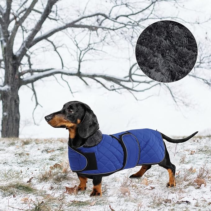 Warm Thermal Quilted Dachshund Coat, Dog Winter Coat with Warm Fleece Lining, Outdoor Dog Apparel with Adjustable Bands for Medium, Large Dog-Blue-L