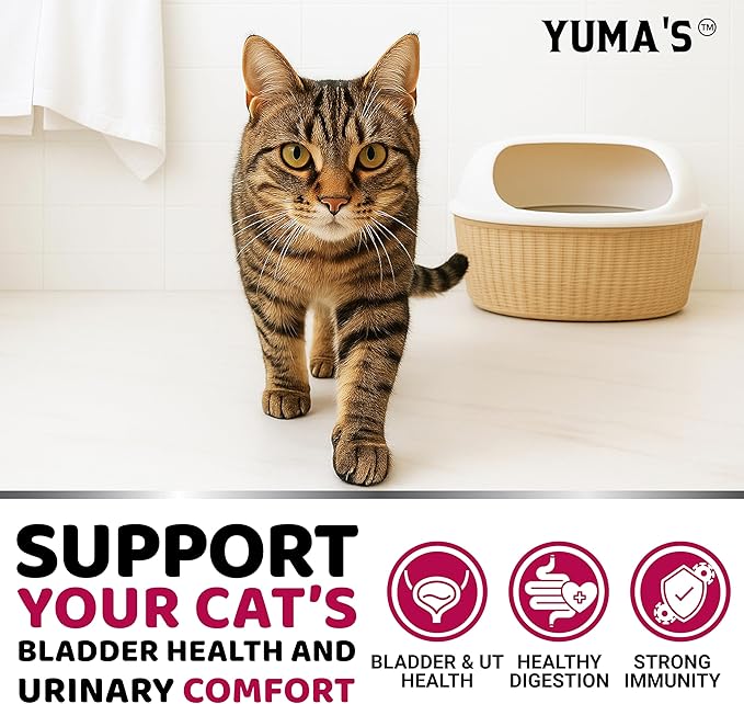 Cat UTI Treatment - Cranberry Supplement for Cats - Bladder Control - Urinary Tract Health Infection Treatment - UTI Medicine - Vitamins and Food Supplements - Immune & Multivitamin Support Chews