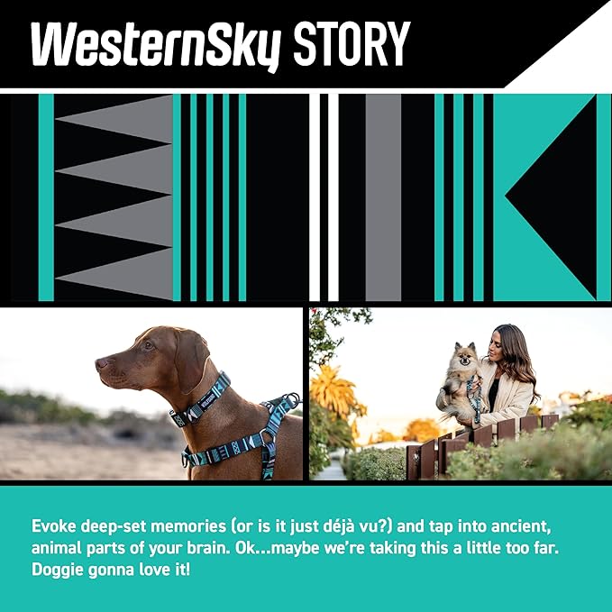 Wolfgang Heavy Duty, Adjustable Dog Collar with Quick Release Nylon Buckle for Walking & Training, WesternSky Print, Medium