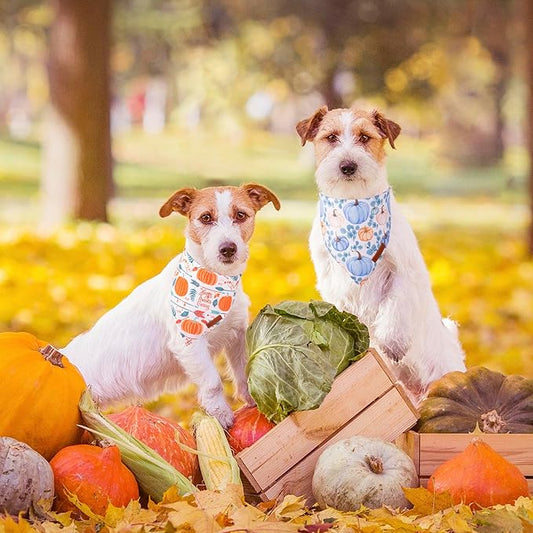 ADOGGYGO Thanksgiving Dog Bandana, Fall Leaves Pumpkin Pet Scarf, Premium Durable Fabric, Adjustable Fit Puppy Thanksgiving Bandanas for Small Dogs Pets (Small)