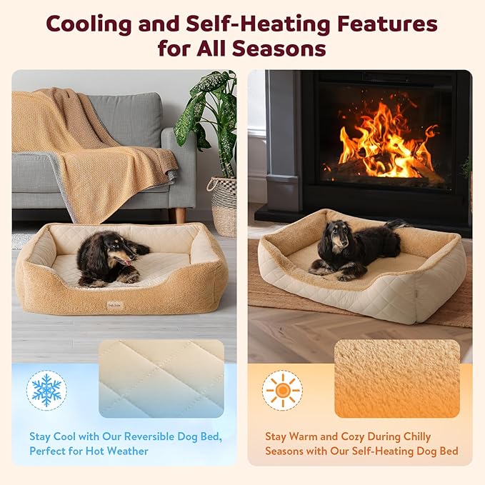 Self-Warming Orthopedic Dog Bed Medium Size Dogs - Memory Foam for Joint Pain & Arthritis, Comfort Pet Bed w/Washable Removable Cover & Waterproof Liner, Dog Couch w/Raised Bolster & Non-Slip Base