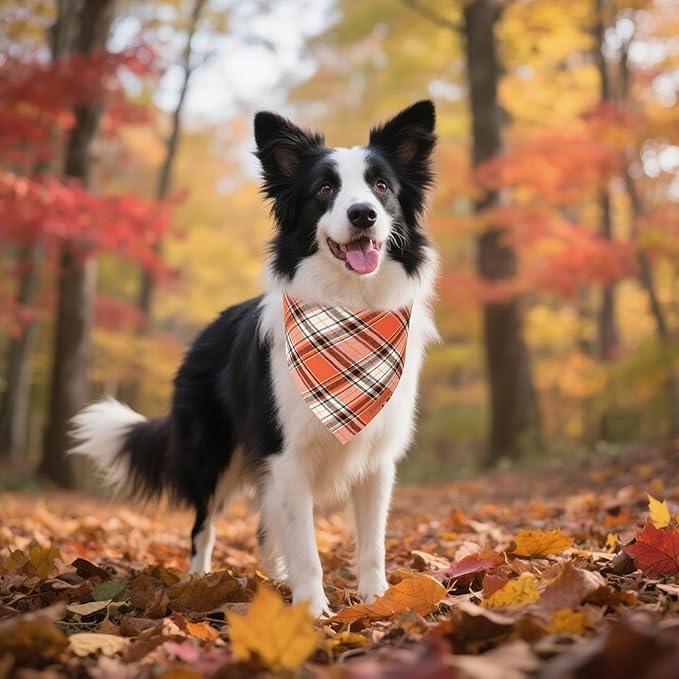 ADOGGYGO Fall Dog Bandanas 2 Pack, Premium Cotton Fabric, Orange Plaid Holiday Pet Scarf, Fall Thanksgiving Halloween Bandanas for Extra Large Dogs (X-Large)