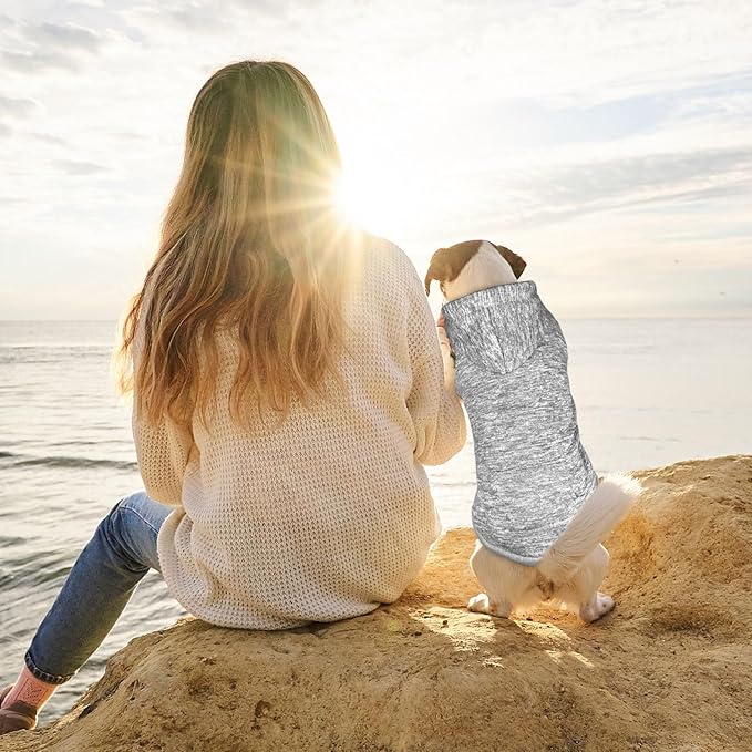 Soft Dog Clothes Sweatshirt with Pocket - Fleece Dog Sweater Hoodie for Small Dogs & Puppies (Grey & XS)