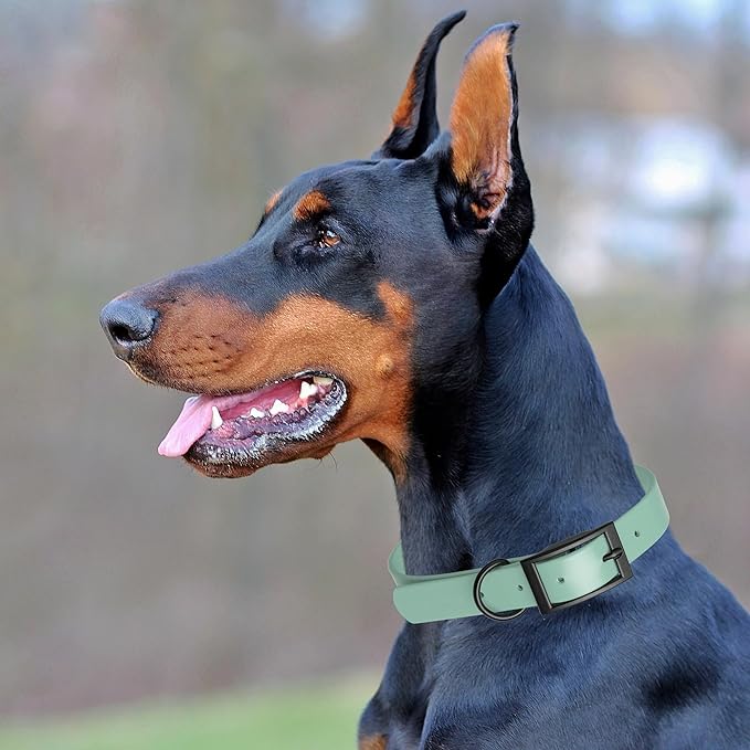 Dogline Biothane Coated Webbing Dog Collar with Black Metal Hardware: Durable Easy-Clean Everyday Collar for Dogs - Comfortable Adjustable Odor-Resistant Pet Collar, W5/8" x L12-15, Sage Green