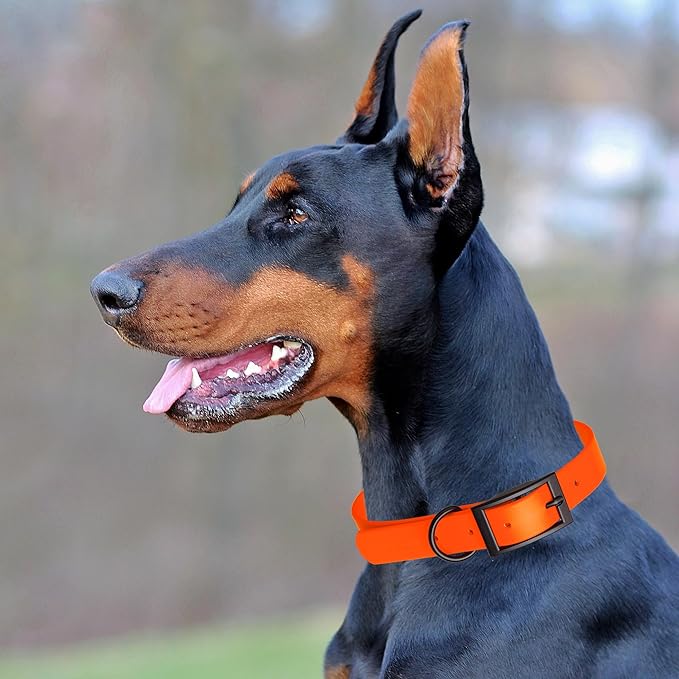 Dogline Biothane Coated Webbing Dog Collar with Black Metal Hardware: Durable Easy-Clean Everyday Collar for Dogs - Comfortable Adjustable Odor-Resistant Pet Collar, W1 x L18-22, Hunter Orange