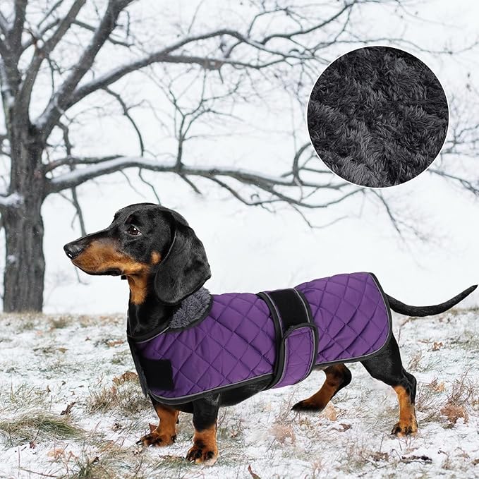 Warm Thermal Quilted Dachshund Coat,Dog Winter Coat with Warm Fleece Lining,Outdoor Dog Apparel with Adjustable Bands for Medium,Large Dog-Purple-XS