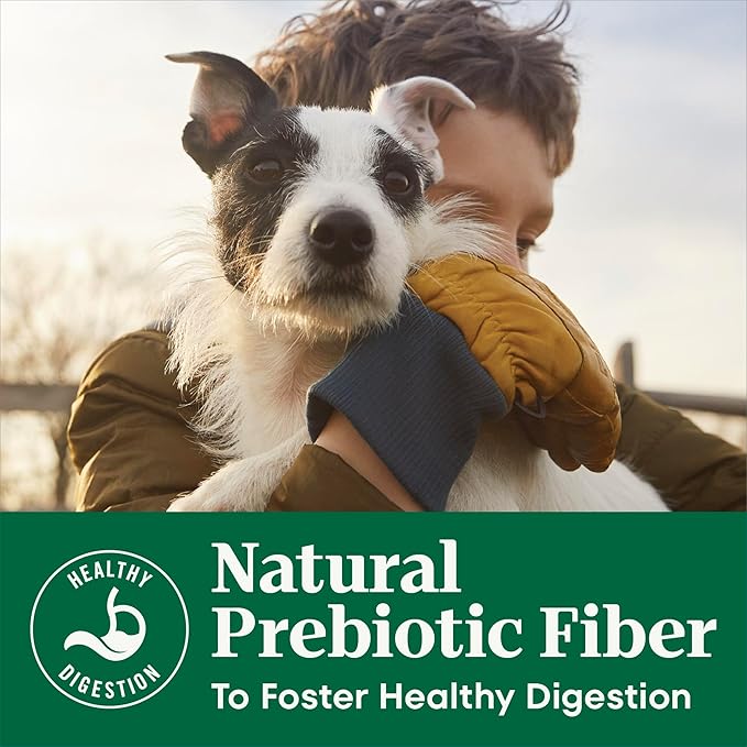 Nutro Natural Choice Chicken & Brown Rice Senior Dog Food Dry Recipe, 13 lb. Bag