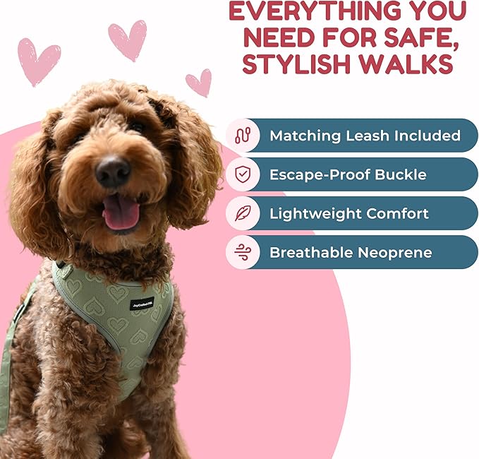 No Pull Puppy Harness and Leash Set – No Choke Neoprene Dog Harness for Small Dogs (15–25lbs) – Green(S), Lightweight Breathable Mesh with Unique Heart Pattern, Adjustable Fit
