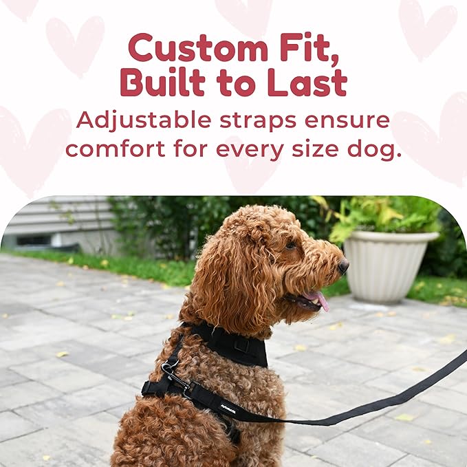 No Pull Neoprene Dog Harness and Leash Set for Small Dog, Neck(11.5–14 in), Adjustable Soft Mesh Design, Black XS -Lightweight No Choke Fit, Step-in, Escape-Proof Comfort