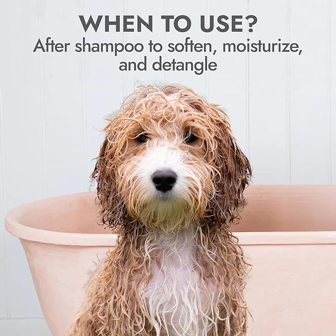 KONG Oatmeal Dog Conditioner – Soothes, Moisturizes & Relieves Itchy Skin, Oatmeal & Honey Scent, 18 oz - Plant-Based, pH-Balanced, Sulfate-Free, All Coat Types, for Sensitive Skin, Made in USA