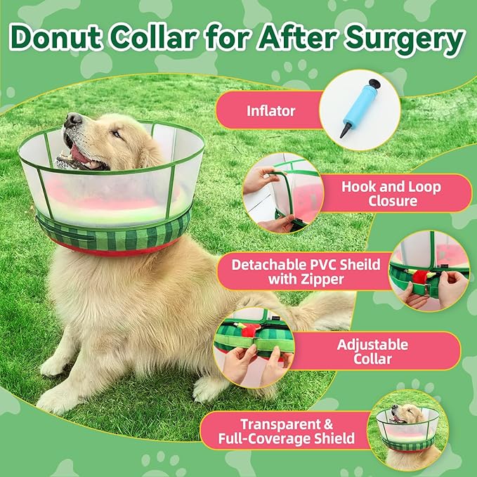 Upgraded Inflatable Dog Cone Collar with Transparent Anti-Licking Shield, Adjustable Elizabethan Collar for Medium Large Dogs, 2-in-1 Design with Detachable Shield and Soft Padding (M+, Watermelon)