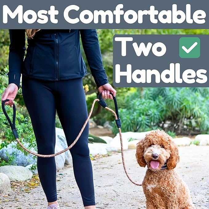 Premium 6 Ft Dog Leash - Two Extra Padded Handles, Heavy Duty Leashes for Medium Dogs to Large Breeds, Reflective, Shock-Absorbing, Anti-Pull Rope Leash, Strong Pet Lead for Everyday Walks - Roam Gear