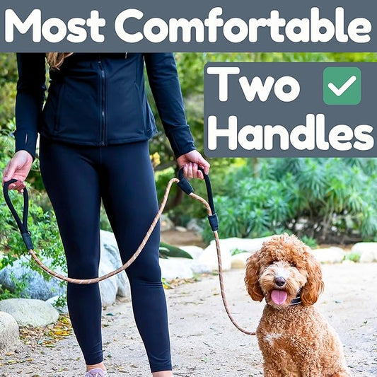 Premium 6 Ft Dog Leash - Two Extra Padded Handles, Heavy Duty Leashes for Medium Dogs to Large Breeds, Reflective, Shock-Absorbing, Anti-Pull Rope Leash, Strong Pet Lead for Everyday Walks - Roam Gear