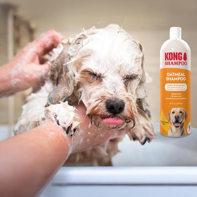 Kong Oatmeal Dog Shampoo, Soothes & Moisturizes, Oatmeal & Honey Scent - 18 fl oz, Biodegradable, pH-Balanced, Sulfate-Free, Cruelty-Free, for Sensitive Skin, All Coat Types, Made in USA