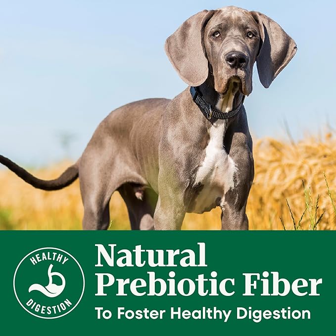 Nutro Natural Choice Large Breed Puppy Food Dry, Chicken & Brown Rice Recipe, 30 lb. Bag