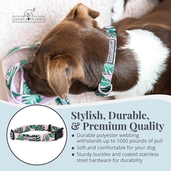 Lucky Love Dog - Adjustable Dog Collar with Easy Click Buckle for Small to Large Ones, Durable, & Comfortable for Male & Female Dogs, Pet Collar for Puppies & Adult Dogs - Laguna, XS
