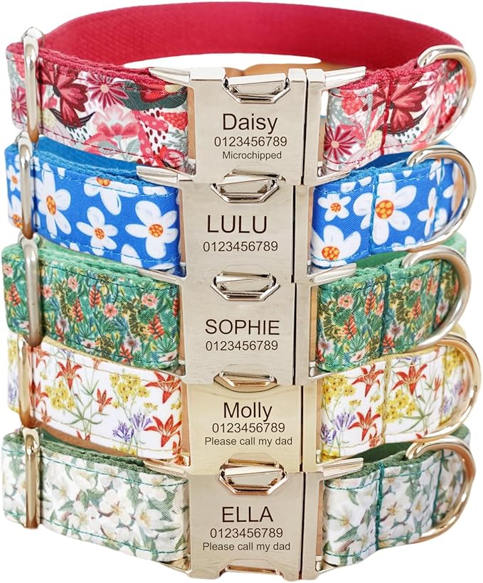 Custom Engraved Dog Collar with Name and Phone Number, Personalized for Small, Medium, and Large Dogs (Floral)