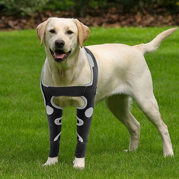 Dog Elbow Brace & Dog Front Leg Brace – Dog Elbow Protector for Hygroma, Pressure Sores, Breathable Dog Sleeves for Front Legs, Reflective, Cone Alternative – Both Legs, M