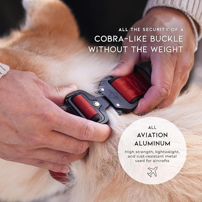 MADE TO ROAM Comfort Collar - Adjustable Nylon Dog Collar with Soft Comfortable Padding, Light Aviation Aluminum Metal Buckle for Small, Medium and Large Dogs (Florida Seaside, Size 0)