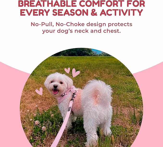 No Pull Neoprene Dog Harness and Leash Set for Small Dog, Neck(14–17 in), Adjustable Soft Mesh Design, Pink S -Lightweight No Choke Fit, Step-in, Escape-Proof Comfort