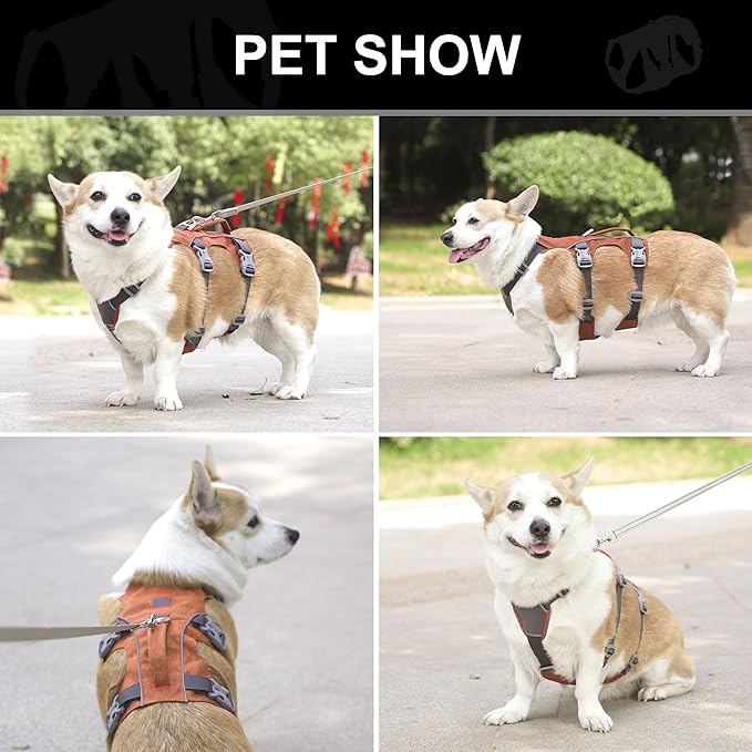 Escape Proof Dog Harness Medium Sized Dog, Reflective No Pull Dog Vest with Handle, Lightweight Full Body Pet Harness Adjustable for Walking,Training(Orange,Chest:17-32")