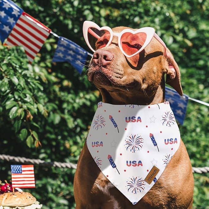 4th of July Dog Bandanas - 2 Pack Reversible American Flag Pet Scarf for Boy and Girl | Premium Durable Fabric | USA Patriotic Bandana for Small Medium Large and Extra Large Dogs (Large)