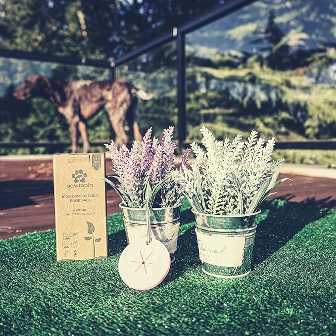 Pawtopia Certified Home Compostable Dog Poop Bags (60) + Pink Poop Bag Carrier, Biodegradable Poop Bags, Cat Litter, Vegetable Starches, Leakproof Dog Waste Bags, Easy to Open