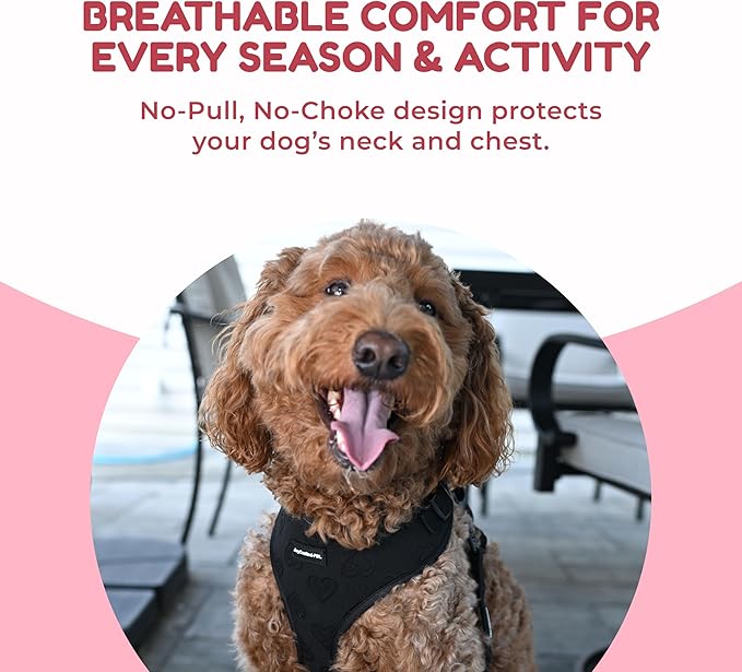 No Pull Neoprene Dog Harness and Leash Set for Small Dog, Neck(14–17 in), Adjustable Soft Mesh Design, Black S -Lightweight No Choke Fit, Step-in, Escape-Proof Comfort