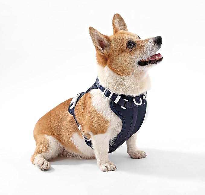 HNS1002J Arlo Medium Adjustable Soft Padded No Pull Pet Harness with 3 Buckles and 3 Leash Clips, Highball