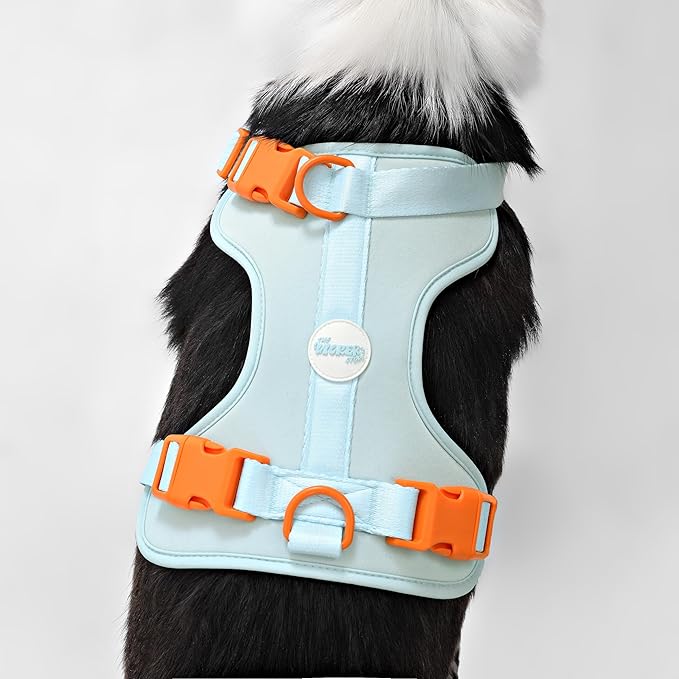 HNS1003D Arlo Large Adjustable Soft Padded No Pull Pet Harness with 3 Buckles and 3 Leash Clips, Fishbowl