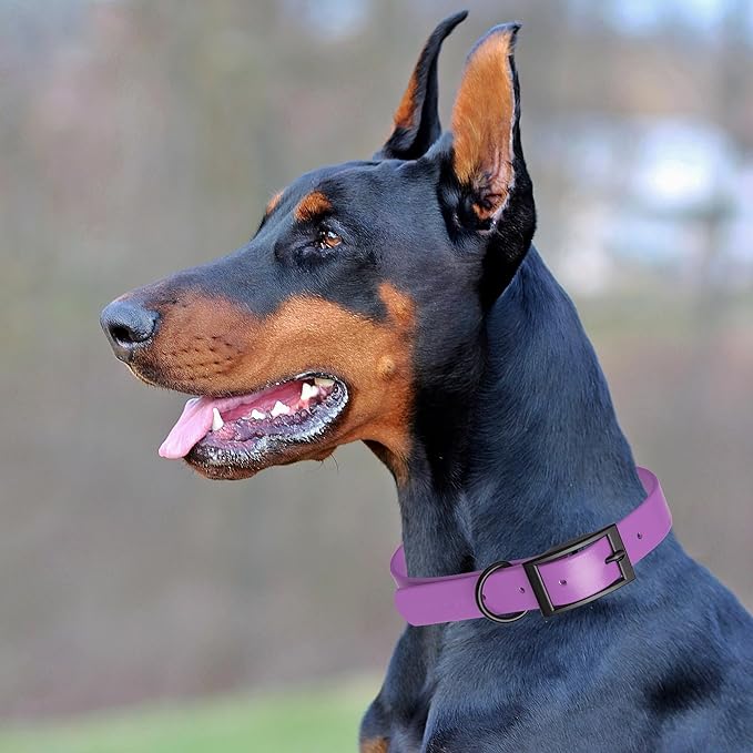 Dogline Biothane Coated Webbing Dog Collar with Black Metal Hardware: Durable Easy-Clean Everyday Collar for Dogs - Comfortable Adjustable Odor-Resistant Pet Collar, W1.5 x L24-28", Amethyst Purple