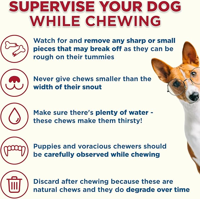 Best Bully Sticks 5-6 Inch Pumpkin Sweet Potato Filled Shin Bones for Dogs - 5 Count (Pack of 1) - Easily Digestible, Long-Lasting, Refillable Treat