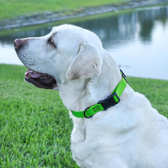 Dogline Durable Biothane Waterproof Collar for Dogs - Odor-Resistant Coated Webbing, Quick-Release Design, Comfortable Adjustable Fit, 5/8" W by 10-14" L, Tropical Green