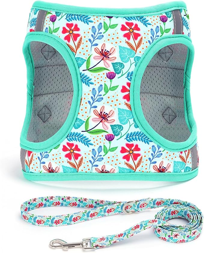 Moonpet Step in Dog Harness Leash Set- All Weather Reflective No-Pull Floral Pattern Padded Mesh Vest Harness for Cats Puppy Extra-Small Small Medium Large Dogs - Verdure Flower - XS