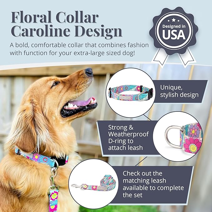 Lucky Love Dog - Adjustable Dog Collar with Easy Click Buckle for Small to Large Ones, Durable, & Comfortable for Male & Female Dogs, Pet Collar for Puppies & Adult Dogs - Caroline, XL