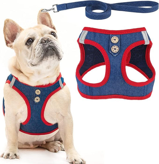 PUPTECK Dog Harness and Leash Set for Small Medium Dogs No Pull Step-in Soft Mesh Puppy Cat Vest Harnesses Reflective at Night, Denim NavyBlue M