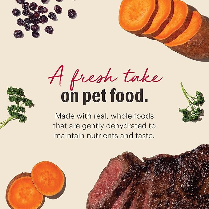 The Honest Kitchen Wholemade™ Dehydrated Grain Free Beef Dog Food, 7 lb Box