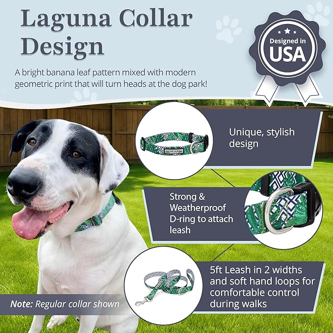 Lucky Love Dog Collar and Leash Set, Beautiful & Vivid Patterns, Easy On & Off Clasp Accessory (Blue Laguna, M Combo)