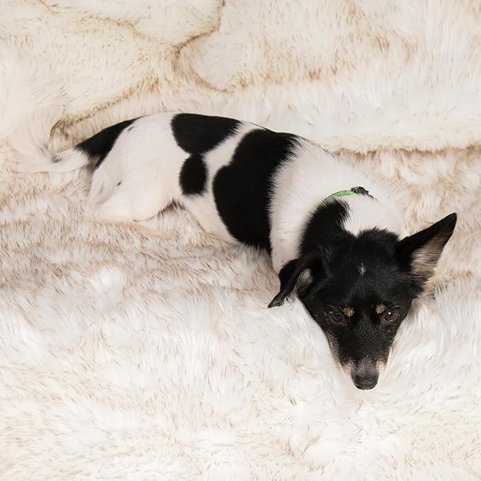 Callarome Waterproof Faux Fur Dog Blanket - Waterproof Dog Blanket for Bed, Couch or Dog Crate - White [50"x60"]