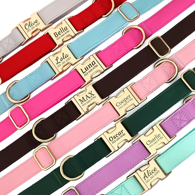 PET ARTIST Personalized Dog Collars, Custom Dog Collar with Engraved Silent Name Tag, Gold Quick Released Buckle & Soft Nylon Padded, Elegant Colors & Matching Leash for Small Dogs,Mint,S Fit 9-14"