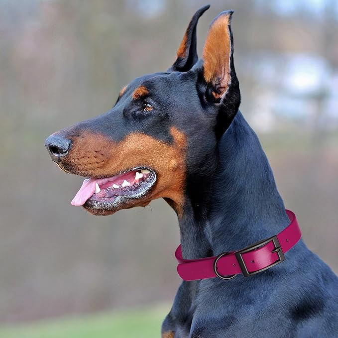 Dogline Biothane Coated Webbing Dog Collar with Black Metal Hardware: Durable Easy-Clean Everyday Collar for Dogs - Comfortable Adjustable Odor-Resistant Pet Collar, W3/4" x L15-18, Magenta Pink