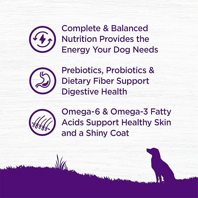 Wellness Complete Health Dry Dog Food, Wholesome Grains, Natural, Beef & Barley Recipe, (26-Pound Bag)