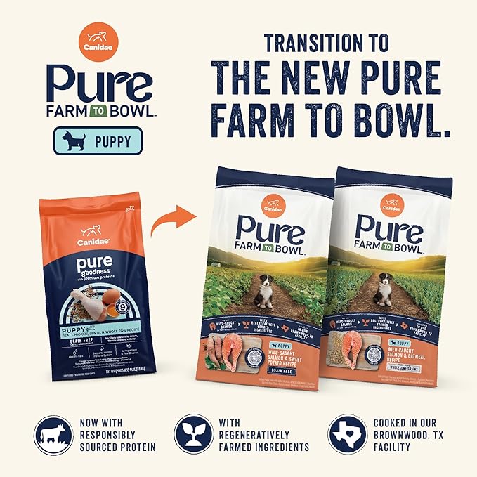 Canidae Pure Grain Free Dry Puppy Food, Real Chicken, Lentil & Whole Egg, 4 lbs.